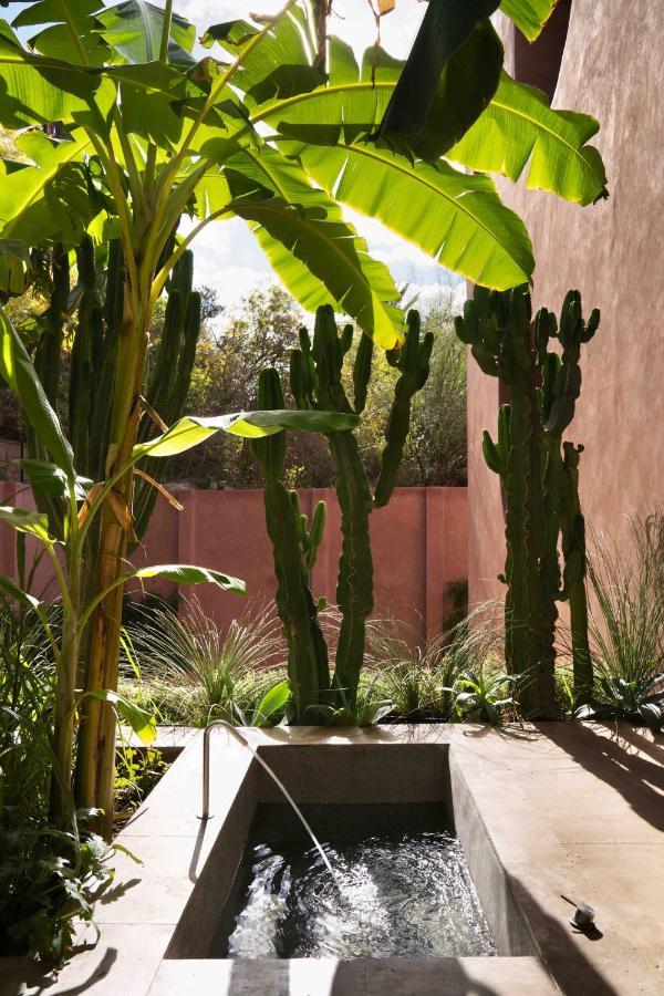 Maison Brummell Majorelle Marrakesh Exterior photo